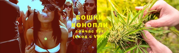 стаф Баксан