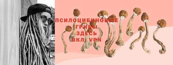 стаф Баксан